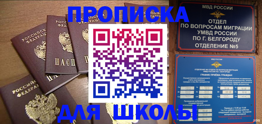 прописка гарантия в Тейково